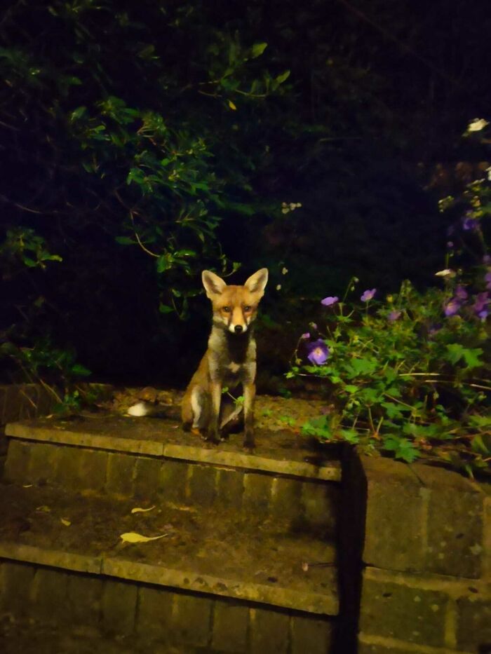 “Casual UK”: 50 Funny Posts That Perfectly Illustrate What British Humor Is All About (New Pics) “Casual UK”: 50 Funny Posts That Perfectly Illustrate What British Humor Is All About (New Pics)