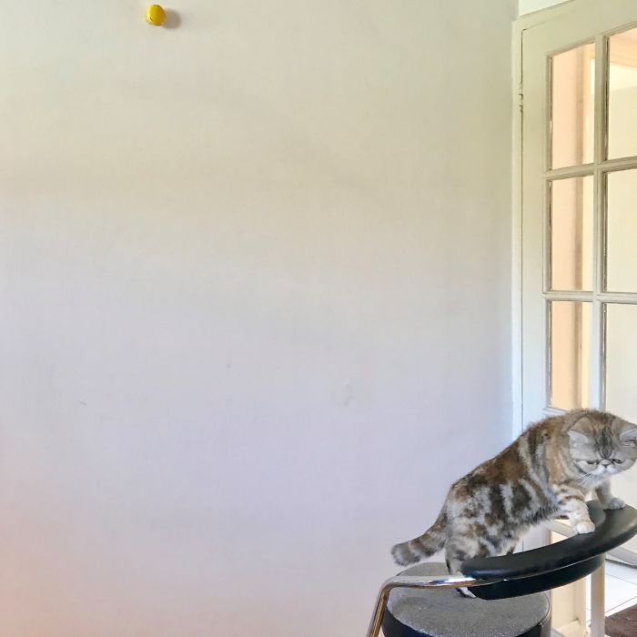 I ‘Tattooed’ My Wall During Lockdown For 113 Days And Here Is The Result I ‘Tattooed’ My Wall During Lockdown For 113 Days And Here Is The Result