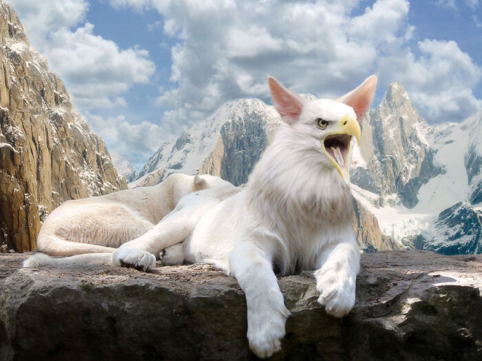 Designers Combined Animals Together And Some Of Them Are So Bad They’re Funny (30 Pic)