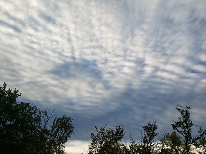 Hey Pandas, Share Some Weird Weather (Closed) Hey Pandas, Share Some Weird Weather (Closed)