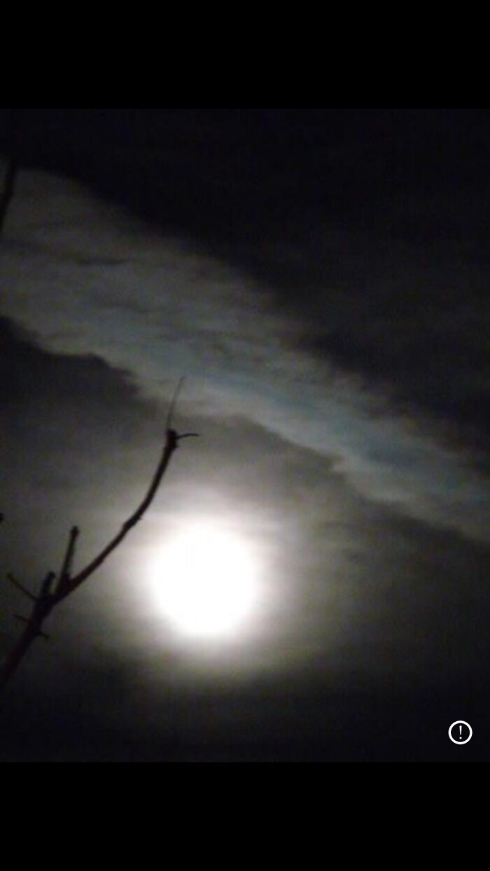 Hey Pandas, Share Some Weird Weather (Closed) Hey Pandas, Share Some Weird Weather (Closed)