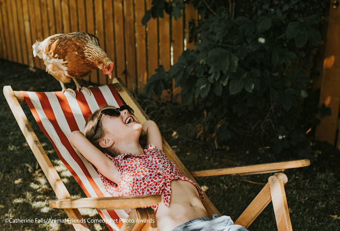 If You’re Having A Bad Day, These Finalists From Comedy Pet Photography Awards 2021 Are Bound To Make It Better (35 Pics) If You’re Having A Bad Day, These Finalists From Comedy Pet Photography Awards 2021 Are Bound To Make It Better (35 Pics)