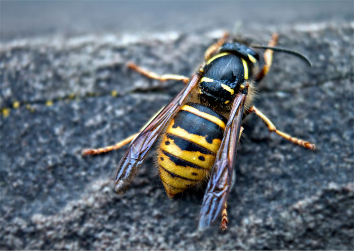 30 Of The Funniest And Weirdest Compliments Folks In This Online Group Got 30 Of The Funniest And Weirdest Compliments Folks In This Online Group Got