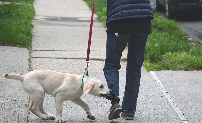 A Person In This Online Group Was Curious To Know What Others Do To Escape Reality, Here Are 30 Of The Best Answers A Person In This Online Group Was Curious To Know What Others Do To Escape Reality, Here Are 30 Of The Best Answers