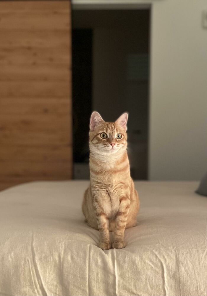 50 Wholesome Rescue Pet Pics To Heal Your Soul (September Edition) 50 Wholesome Rescue Pet Pics To Heal Your Soul (September Edition)