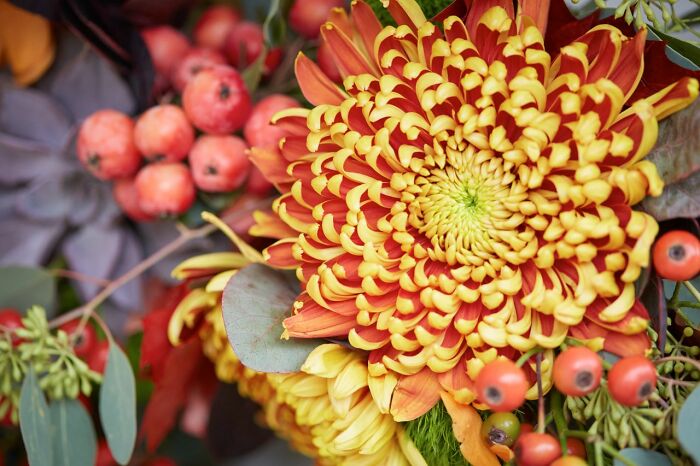 Hey Pandas, Post Your Coziest Autumn Photos (Closed) Hey Pandas, Post Your Coziest Autumn Photos (Closed)