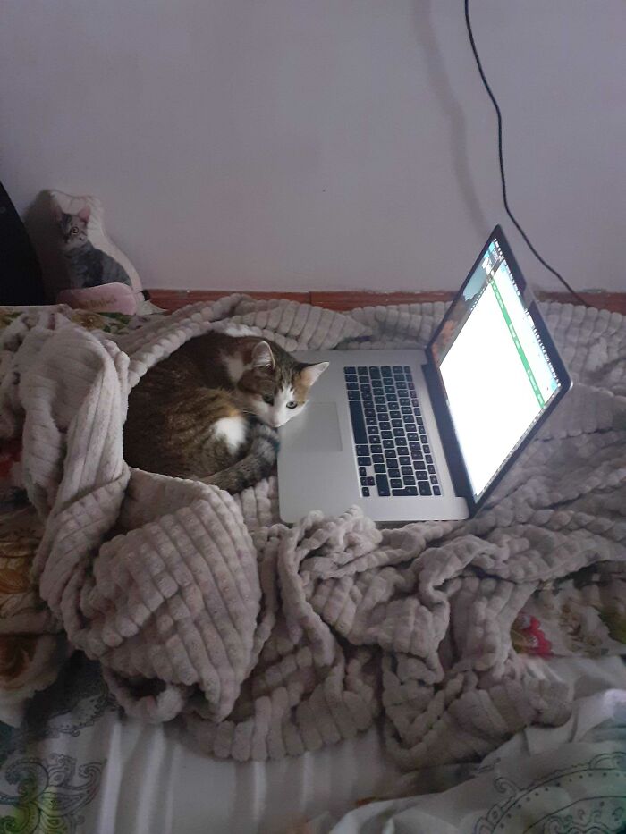 Hey Pandas, Post Your Coziest Autumn Photos (Closed) Hey Pandas, Post Your Coziest Autumn Photos (Closed)