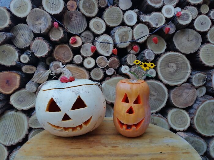 Hey Pandas, Post Your Coziest Autumn Photos (Closed) Hey Pandas, Post Your Coziest Autumn Photos (Closed)