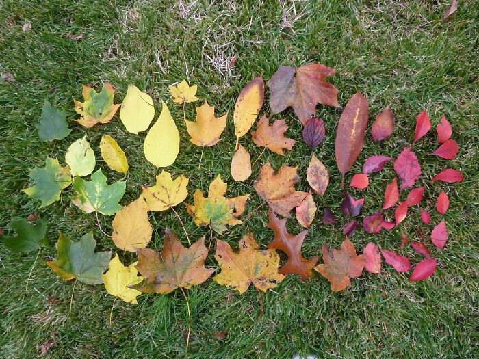 Hey Pandas, Post Your Coziest Autumn Photos (Closed) Hey Pandas, Post Your Coziest Autumn Photos (Closed)