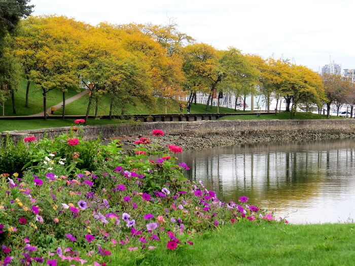 Hey Pandas, Post Your Coziest Autumn Photos (Closed) Hey Pandas, Post Your Coziest Autumn Photos (Closed)