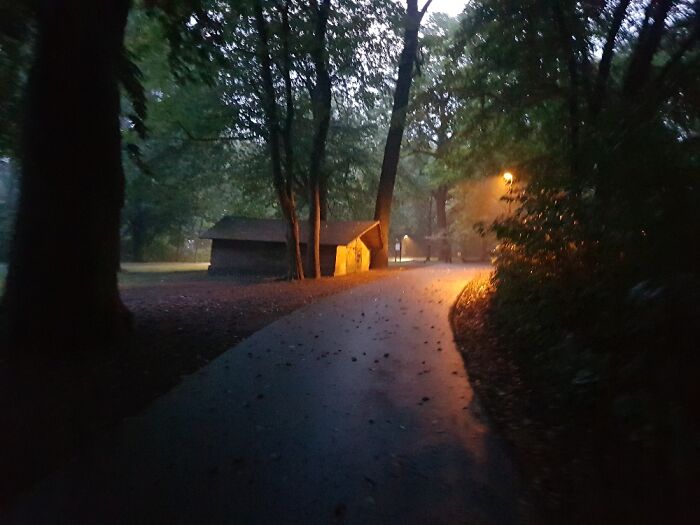 Hey Pandas, Post Your Coziest Autumn Photos (Closed) Hey Pandas, Post Your Coziest Autumn Photos (Closed)