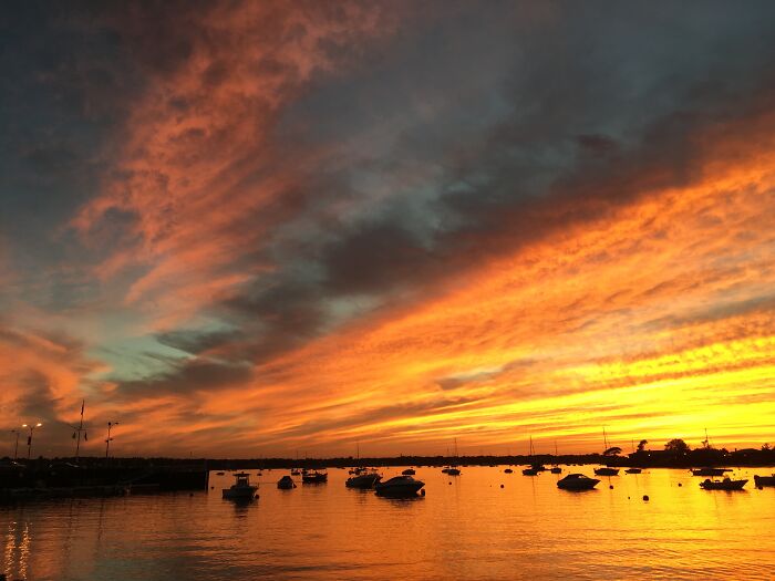 Hey Pandas, Post Your Coziest Autumn Photos (Closed) Hey Pandas, Post Your Coziest Autumn Photos (Closed)