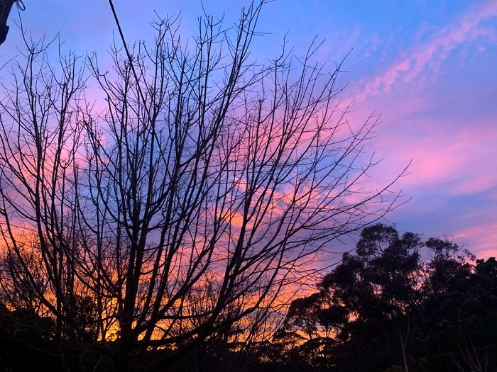 Hey Pandas, Post Your Coziest Autumn Photos (Closed) Hey Pandas, Post Your Coziest Autumn Photos (Closed)