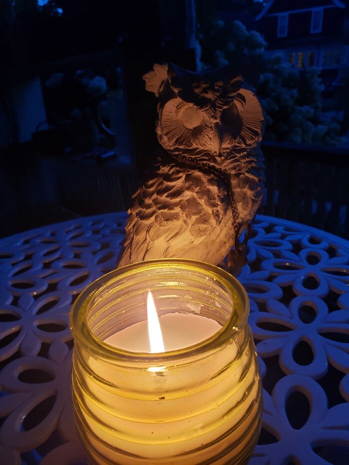 Hey Pandas, Post Your Coziest Autumn Photos (Closed) Hey Pandas, Post Your Coziest Autumn Photos (Closed)