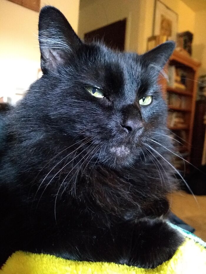 Hey Pandas, Post Your Coziest Autumn Photos (Closed) Hey Pandas, Post Your Coziest Autumn Photos (Closed)