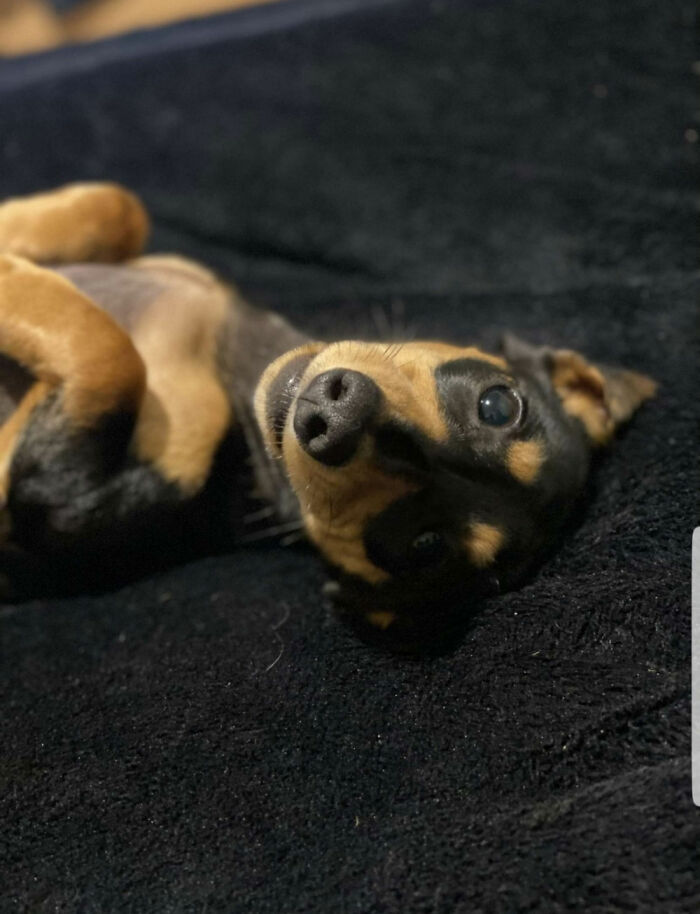 Hey Pandas, Post Your Coziest Autumn Photos (Closed) Hey Pandas, Post Your Coziest Autumn Photos (Closed)