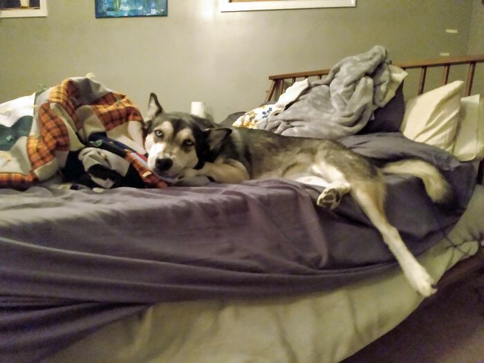 Hey Pandas, Post Your Coziest Autumn Photos (Closed) Hey Pandas, Post Your Coziest Autumn Photos (Closed)