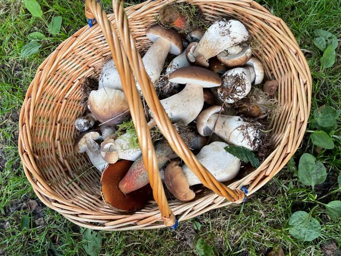 Hey Pandas, Post Your Coziest Autumn Photos (Closed) Hey Pandas, Post Your Coziest Autumn Photos (Closed)