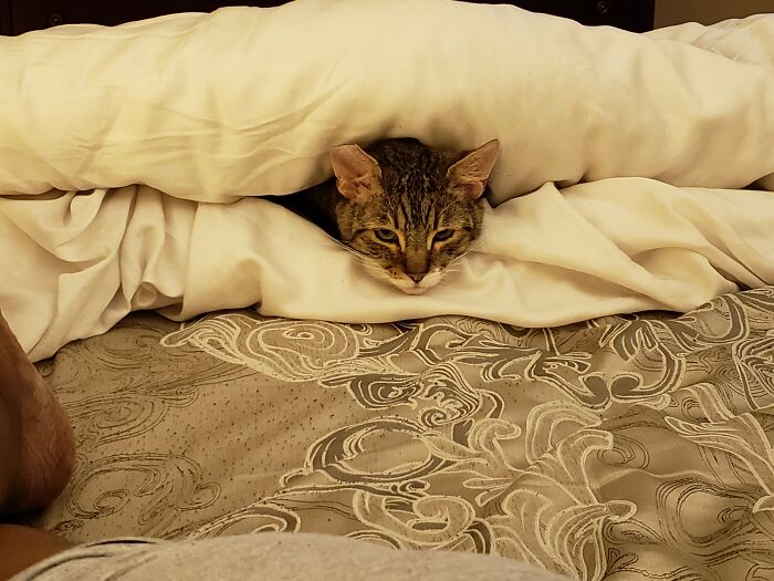 Hey Pandas, Post Your Coziest Autumn Photos (Closed) Hey Pandas, Post Your Coziest Autumn Photos (Closed)