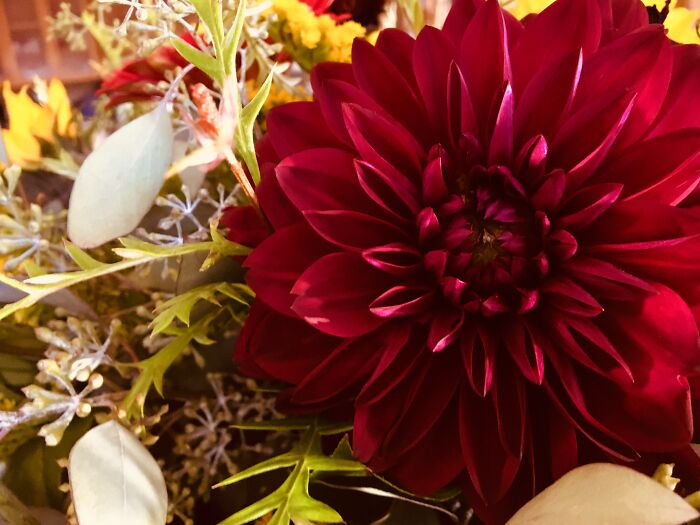 Hey Pandas, Post Your Coziest Autumn Photos (Closed) Hey Pandas, Post Your Coziest Autumn Photos (Closed)