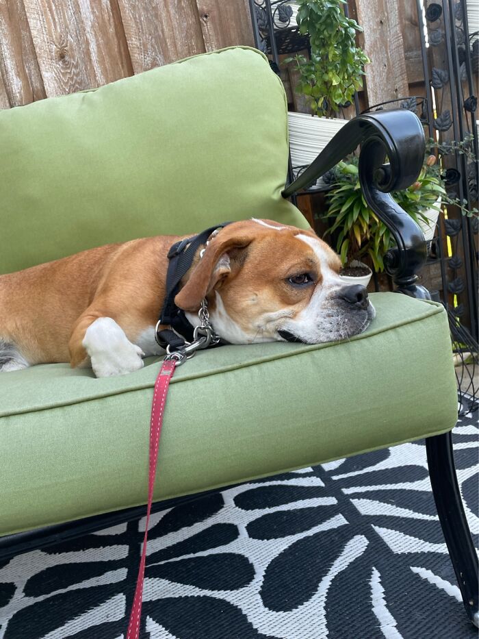 Hey Pandas, Post Your Coziest Autumn Photos (Closed) Hey Pandas, Post Your Coziest Autumn Photos (Closed)