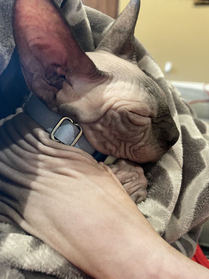 Hey Pandas, Post Your Coziest Autumn Photos (Closed) Hey Pandas, Post Your Coziest Autumn Photos (Closed)