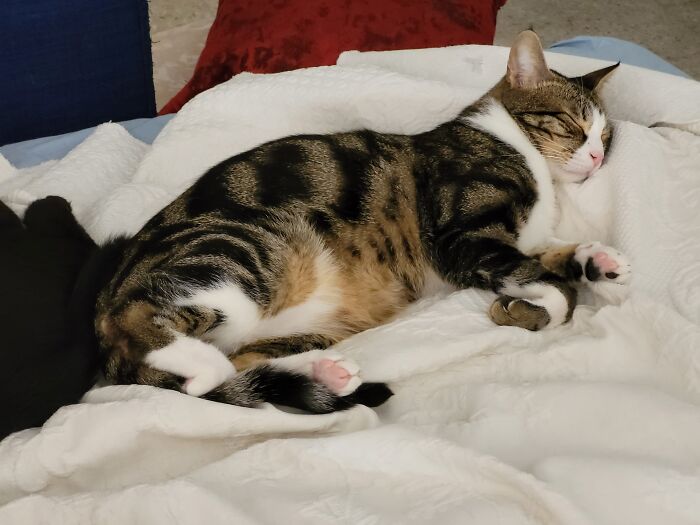 Hey Pandas, Post Your Coziest Autumn Photos (Closed) Hey Pandas, Post Your Coziest Autumn Photos (Closed)