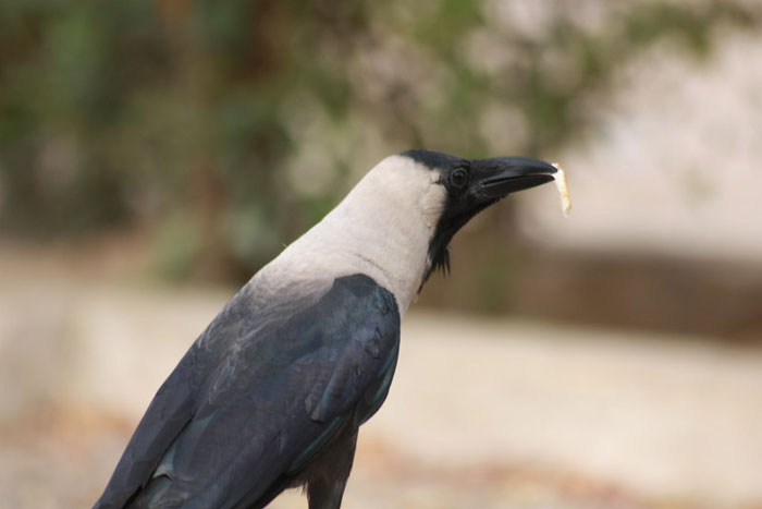 40 Not-So-Fun Facts That People In This Online Group Can’t Forget About 40 Not-So-Fun Facts That People In This Online Group Can’t Forget About