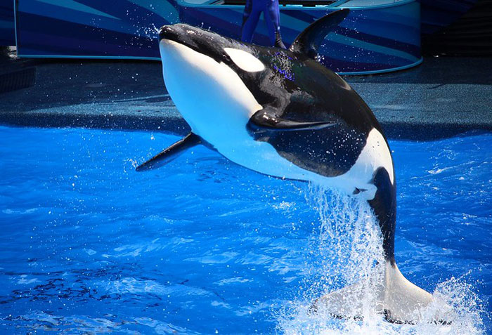 40 Not-So-Fun Facts That People In This Online Group Can’t Forget About 40 Not-So-Fun Facts That People In This Online Group Can’t Forget About