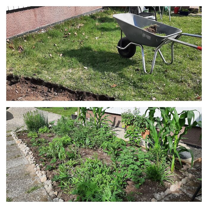 Hey Pandas, Post A Before And After Picture Of A Project You Are Working On (Closed) Hey Pandas, Post A Before And After Picture Of A Project You Are Working On (Closed)