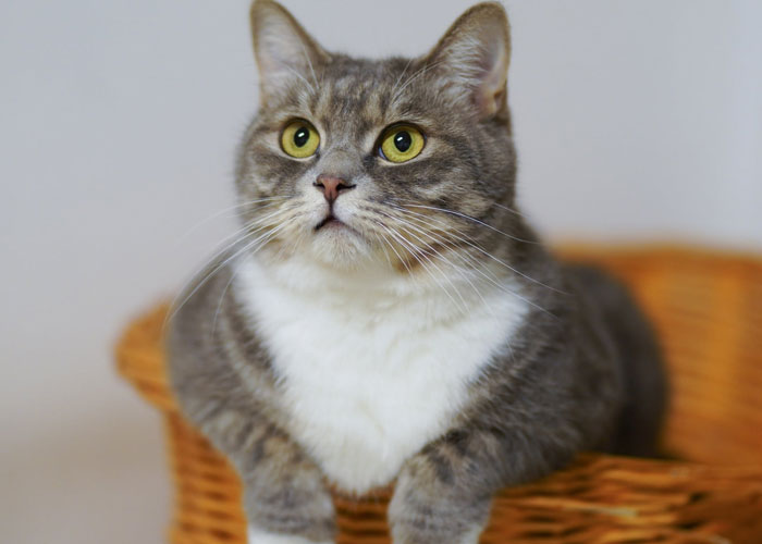 35 People Share Things They Are Really Suspicious Of But Can’t Actually Prove