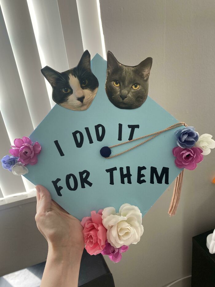 Creative Graduation Cap Ideas To Get Inspired By Creative Graduation Cap Ideas To Get Inspired By
