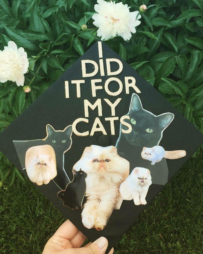 Creative Graduation Cap Ideas To Get Inspired By Creative Graduation Cap Ideas To Get Inspired By