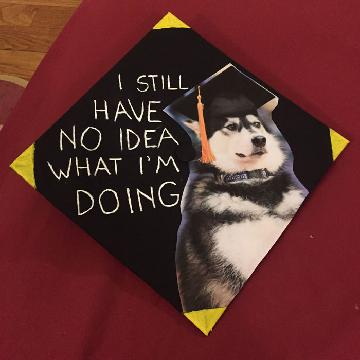 Creative Graduation Cap Ideas To Get Inspired By Creative Graduation Cap Ideas To Get Inspired By