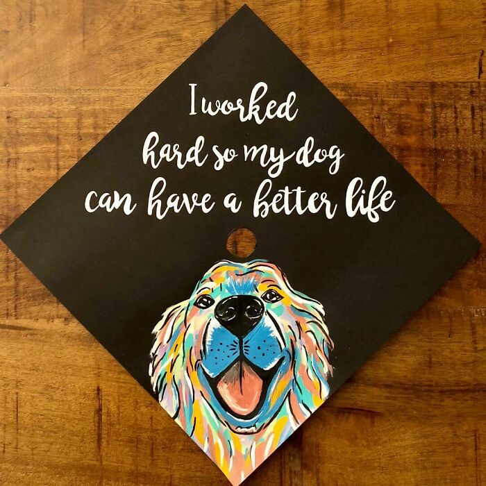Creative Graduation Cap Ideas To Get Inspired By Creative Graduation Cap Ideas To Get Inspired By