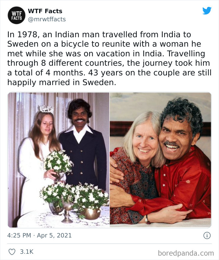 This Twitter Page Posts Random Interesting Facts, And Here Are 40 Of The Best Ones (New Pics) This Twitter Page Posts Random Interesting Facts, And Here Are 40 Of The Best Ones (New Pics)