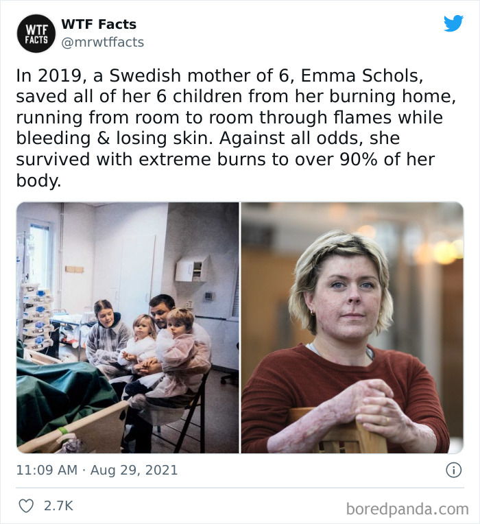 This Twitter Page Posts Random Interesting Facts, And Here Are 40 Of The Best Ones (New Pics) This Twitter Page Posts Random Interesting Facts, And Here Are 40 Of The Best Ones (New Pics)