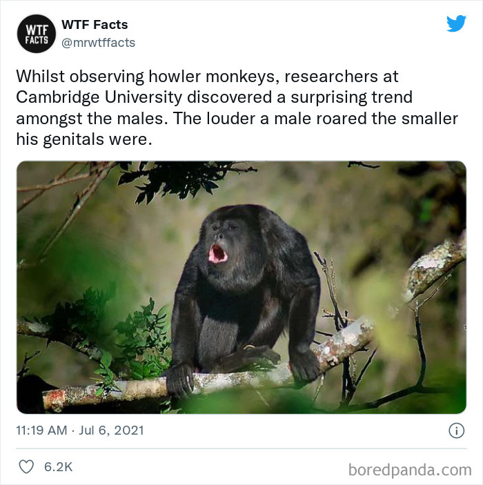 This Twitter Page Posts Random Interesting Facts, And Here Are 40 Of The Best Ones (New Pics) This Twitter Page Posts Random Interesting Facts, And Here Are 40 Of The Best Ones (New Pics)