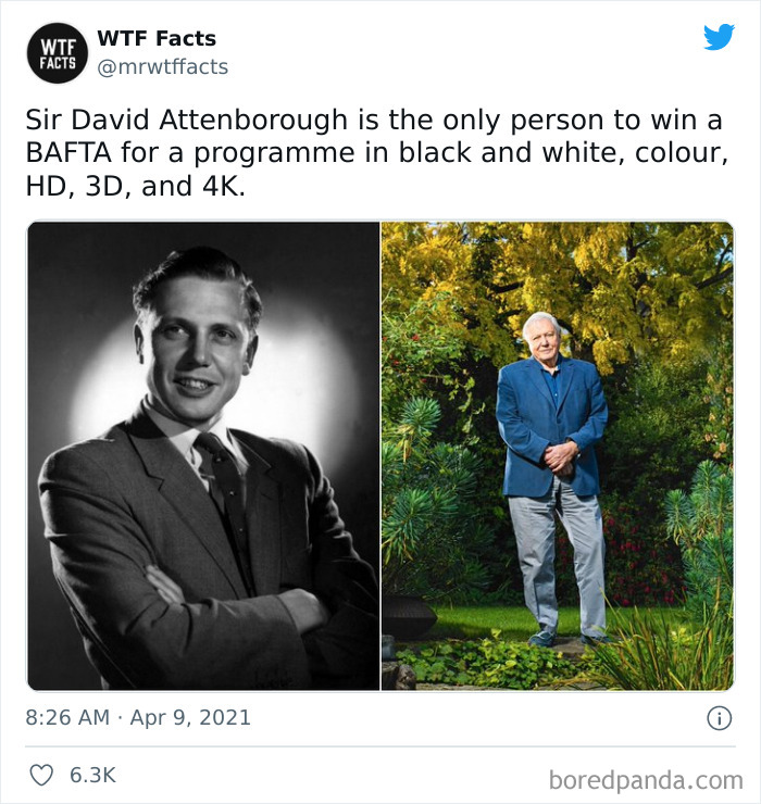 This Twitter Page Posts Random Interesting Facts, And Here Are 40 Of The Best Ones (New Pics) This Twitter Page Posts Random Interesting Facts, And Here Are 40 Of The Best Ones (New Pics)