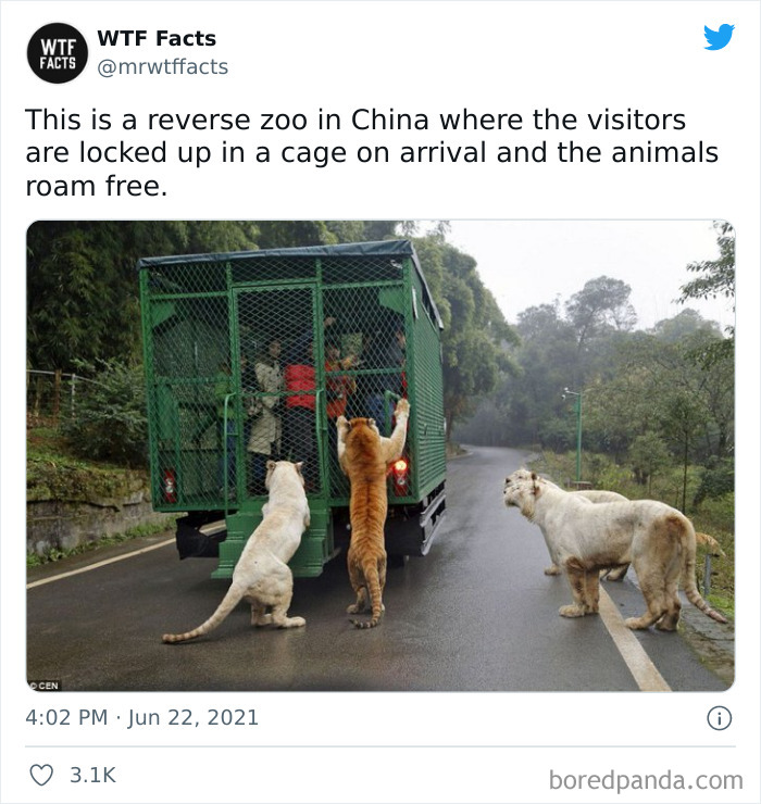 This Twitter Page Posts Random Interesting Facts, And Here Are 40 Of The Best Ones (New Pics) This Twitter Page Posts Random Interesting Facts, And Here Are 40 Of The Best Ones (New Pics)