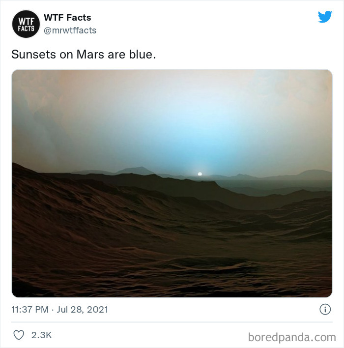 This Twitter Page Posts Random Interesting Facts, And Here Are 40 Of The Best Ones (New Pics) This Twitter Page Posts Random Interesting Facts, And Here Are 40 Of The Best Ones (New Pics)