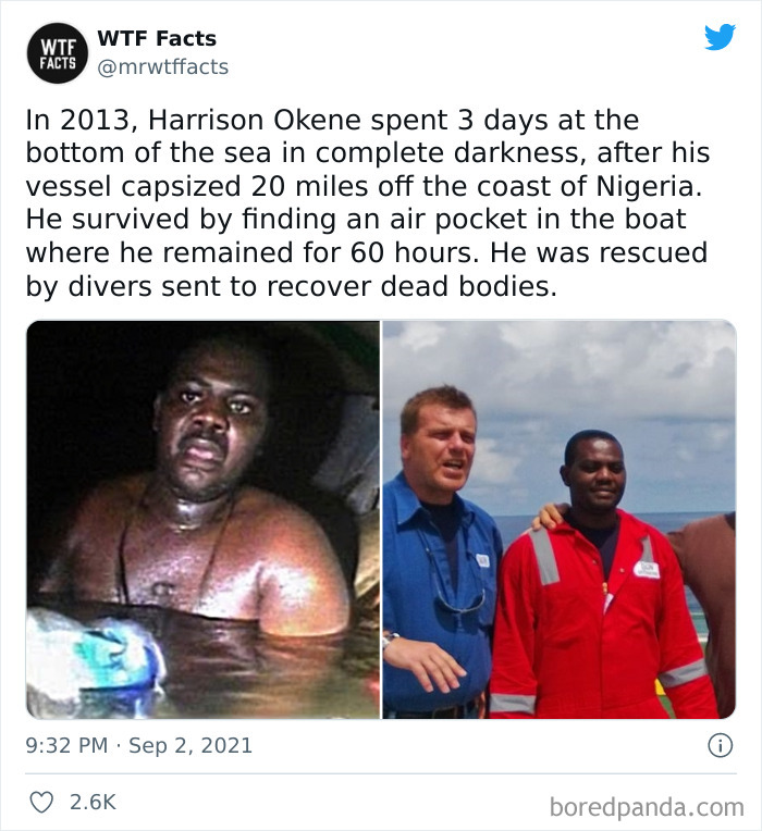 This Twitter Page Posts Random Interesting Facts, And Here Are 40 Of The Best Ones (New Pics) This Twitter Page Posts Random Interesting Facts, And Here Are 40 Of The Best Ones (New Pics)