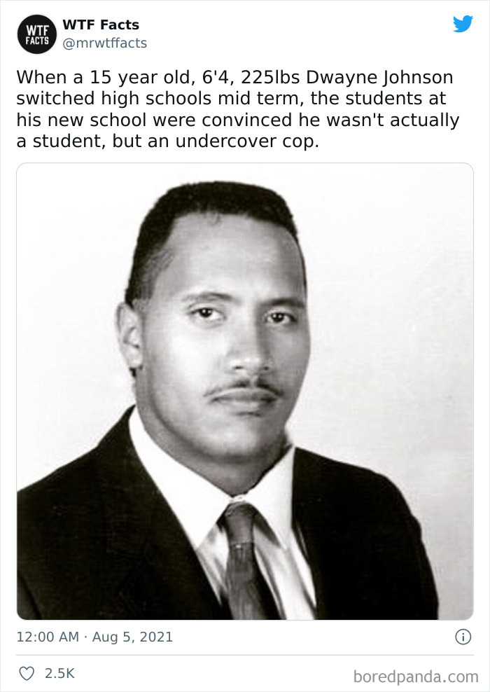 This Twitter Page Posts Random Interesting Facts, And Here Are 40 Of The Best Ones (New Pics) This Twitter Page Posts Random Interesting Facts, And Here Are 40 Of The Best Ones (New Pics)