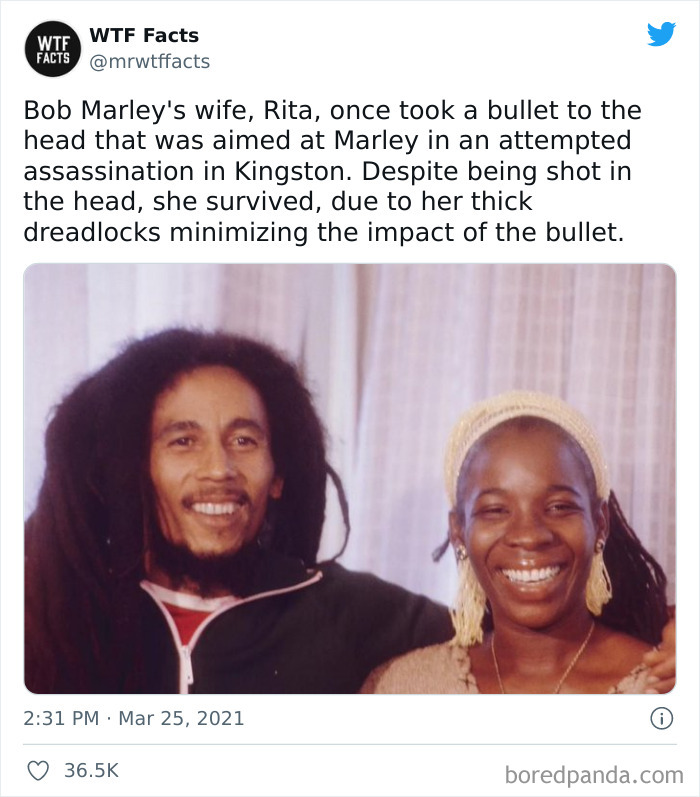 This Twitter Page Posts Random Interesting Facts, And Here Are 40 Of The Best Ones (New Pics) This Twitter Page Posts Random Interesting Facts, And Here Are 40 Of The Best Ones (New Pics)