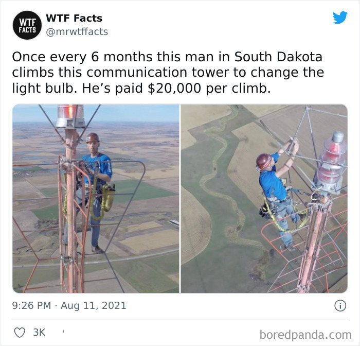 This Twitter Page Posts Random Interesting Facts, And Here Are 40 Of The Best Ones (New Pics) This Twitter Page Posts Random Interesting Facts, And Here Are 40 Of The Best Ones (New Pics)