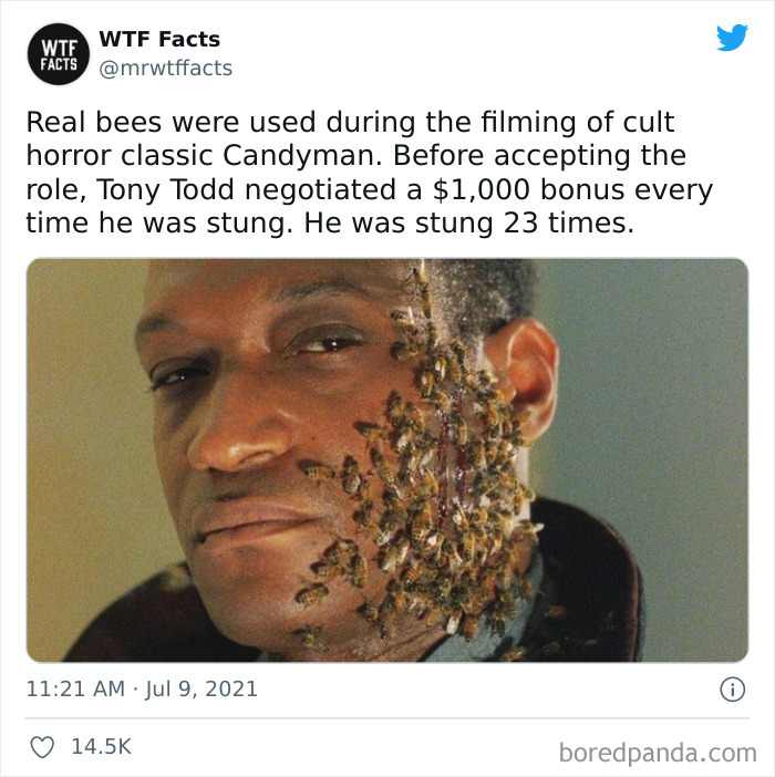 This Twitter Page Posts Random Interesting Facts, And Here Are 40 Of The Best Ones (New Pics) This Twitter Page Posts Random Interesting Facts, And Here Are 40 Of The Best Ones (New Pics)
