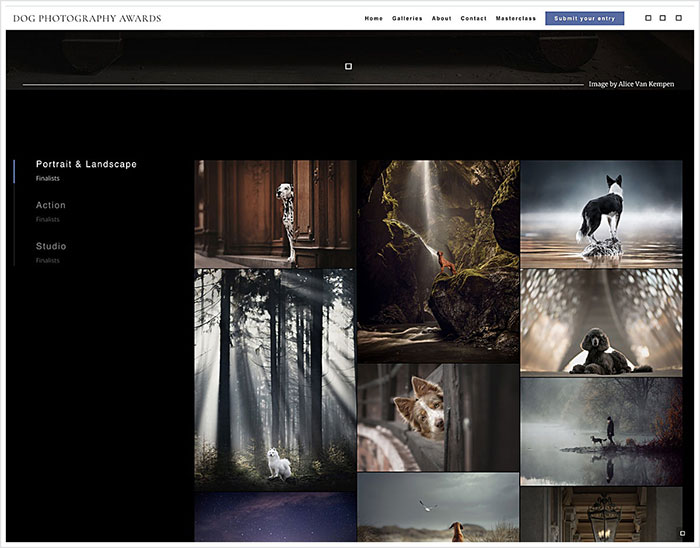 Photographer Caught Photoshopping His Photos From Stock Pictures, Denies Everything Until He’s Totally Exposed Photographer Caught Photoshopping His Photos From Stock Pictures, Denies Everything Until He’s Totally Exposed