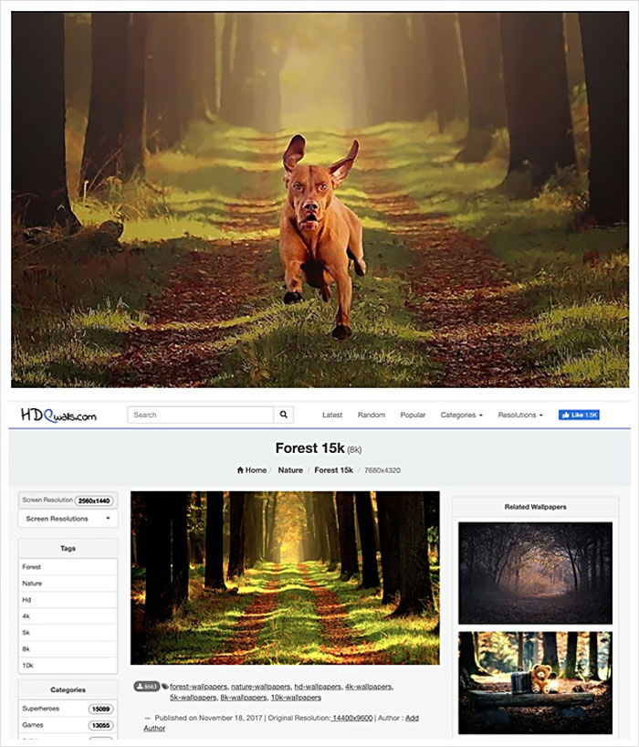 Photographer Caught Photoshopping His Photos From Stock Pictures, Denies Everything Until He’s Totally Exposed Photographer Caught Photoshopping His Photos From Stock Pictures, Denies Everything Until He’s Totally Exposed