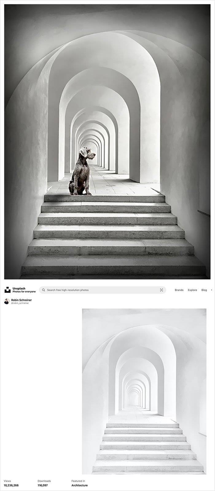 Photographer Caught Photoshopping His Photos From Stock Pictures, Denies Everything Until He’s Totally Exposed Photographer Caught Photoshopping His Photos From Stock Pictures, Denies Everything Until He’s Totally Exposed