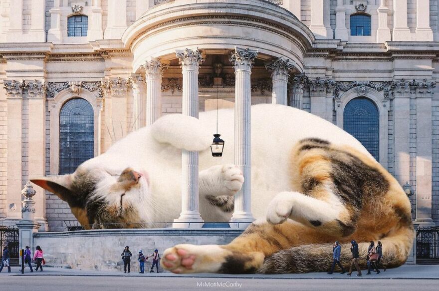 91 Surreal Photo Edits With Giant Cats By Matt McCarthy (New Pics) 91 Surreal Photo Edits With Giant Cats By Matt McCarthy (New Pics)